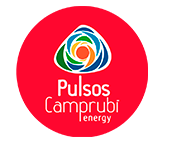 PULSOS ENERGY